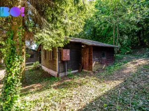 Prodej chaty, Hranice - Hranice VIII-Středolesí, 1098 m2
