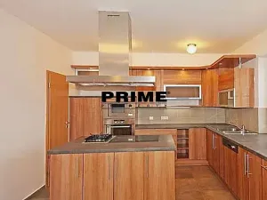 Pronájem rodinného domu, Praha - Střešovice, Nad hradním vodojemem, 350 m2