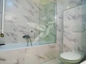 Pronájem bytu 2+kk, Plzeň, U Borských kasáren, 47 m2