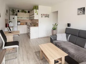 Prodej bytu 2+kk, Neratovice, 17. listopadu, 38 m2