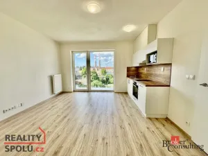 Pronájem bytu 1+kk, Brno - Trnitá, Křenová, 32 m2