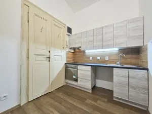 Pronájem bytu 1+1, Praha - Vinohrady, Mánesova, 28 m2