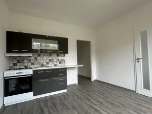 Pronájem bytu 1+1, Duchcov, Osecká, 36 m2