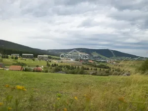 Prodej ubytování, Loučná pod Klínovcem - Háj, 380 m2