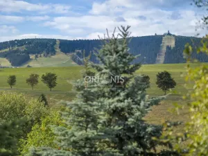 Prodej ubytování, Loučná pod Klínovcem - Háj, 380 m2