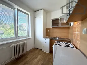 Pronájem bytu 2+1, Tachov, Hornická, 50 m2