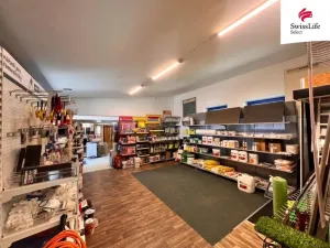 Pronájem obchodního prostoru, Plzeň, Wenzigova, 270 m2