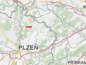 Prodej lesa, Plasy - Žebnice, 3528 m2