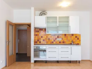 Pronájem bytu 2+kk, Praha - Motol, Kudrnova, 48 m2