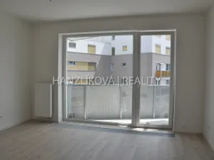 Pronájem bytu 1+kk, České Budějovice - České Budějovice 2, Volejbalistů, 28 m2