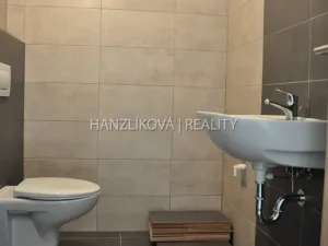Pronájem bytu 1+kk, České Budějovice - České Budějovice 2, Volejbalistů, 28 m2