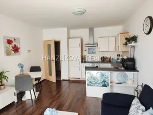 Pronájem bytu 2+kk, České Budějovice - České Budějovice 3, Jírovcova, 56 m2