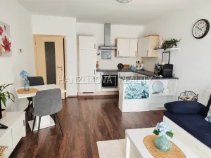Pronájem bytu 2+kk, České Budějovice - České Budějovice 3, Jírovcova, 56 m2