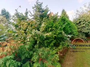 Pronájem bytu 1+kk, Průhonice, U Křížku, 20 m2