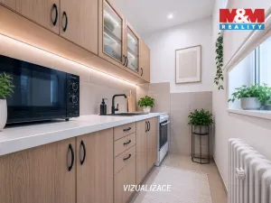Prodej bytu 1+kk, Bílina, Alšova, 27 m2