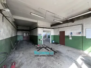 Pronájem výrobních prostor, Holešov, 217 m2