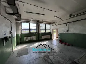 Pronájem výrobních prostor, Holešov, 217 m2