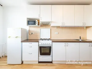 Pronájem bytu 2+1, Praha - Žižkov, Jilmová, 54 m2