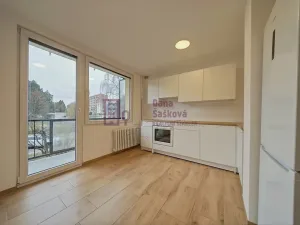 Pronájem bytu 2+1, Jindřichův Hradec - Jindřichův Hradec II, sídliště U Nádraží, 50 m2