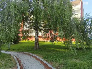Pronájem bytu 2+1, Náměšť nad Oslavou, Nad Příhořím, 61 m2