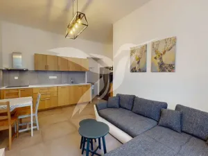 Pronájem bytu 2+kk, Plzeň, Zikmunda Wintra, 52 m2