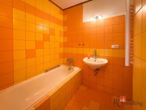 Prodej bytu 2+1, Přeštice, Červenkova, 52 m2