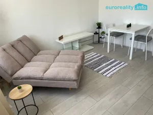 Pronájem bytu 1+1, Kraslice, Rybná, 30 m2