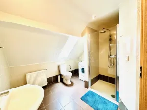 Prodej vícegeneračního domu, Chlumany, 200 m2