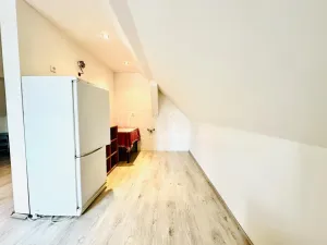 Prodej vícegeneračního domu, Chlumany, 200 m2