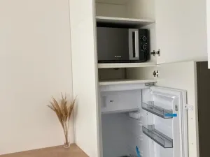 Pronájem bytu 1+kk, Praha - Smíchov, Plzeňská, 20 m2