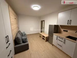 Pronájem rodinného domu, Mariánské Lázně - Hamrníky, třída Vítězství, 31 m2