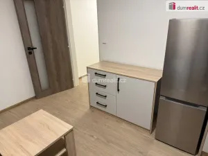 Pronájem rodinného domu, Mariánské Lázně - Hamrníky, třída Vítězství, 31 m2