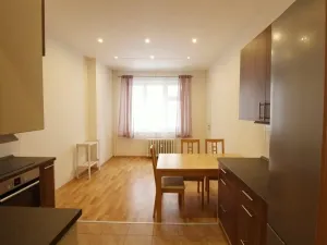 Prodej bytu 1+1, Praha - Karlín, Křižíkova, 45 m2