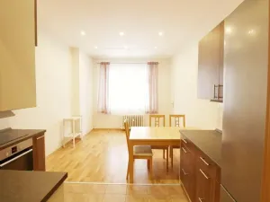 Prodej bytu 1+1, Praha - Karlín, Křižíkova, 49 m2