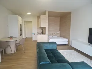 Pronájem bytu 1+kk, Ostrava - Slezská Ostrava, U Hájenky, 38 m2