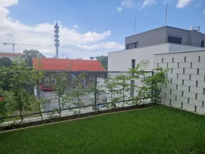 Pronájem bytu 1+kk, Ostrava - Slezská Ostrava, U Hájenky, 38 m2