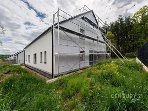 Prodej rodinného domu, Homole, 174 m2