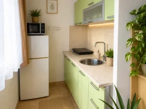 Prodej bytu 1+kk, Pardubice, Ohrazenická, 26 m2