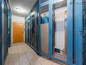 Pronájem bytu 4+kk, Praha - Nusle, Mojmírova, 140 m2