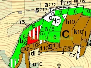 Prodej lesa, Želechovice nad Dřevnicí, Přílucká, 8588 m2