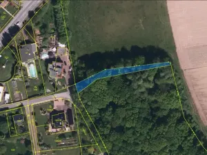 Prodej lesa, Těrlicko, 565 m2
