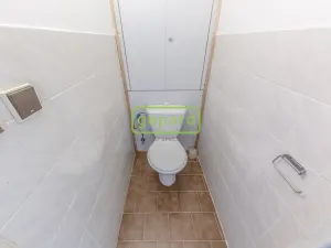 Pronájem bytu 4+kk, Praha, U zeleného ptáka, 84 m2