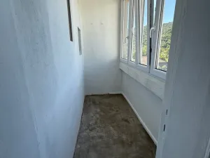 Pronájem bytu 2+1, Ústí nad Labem - Střekov, Purkyňova, 59 m2