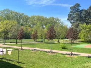 Pronájem bytu 2+1, Pardubice - Zelené Předměstí, Sokolovská, 61 m2