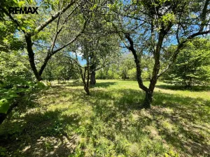 Pronájem zahrady, Lipník nad Bečvou, 2982 m2