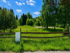 Prodej pozemku pro bydlení, Cvikov - Trávník, 5479 m2