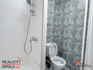 Pronájem bytu 1+kk, Náchod, Pražská, 24 m2