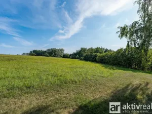 Prodej pozemku pro bydlení, Ratboř - Těšínky, 6500 m2