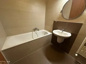 Pronájem bytu 1+kk, Opava, Hálkova, 33 m2