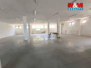 Pronájem obchodního prostoru, Ústí nad Labem - Severní Terasa, Stříbrnická, 1286 m2